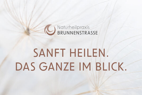 holl-referenz-brunnenstrasse-teaser.jpg