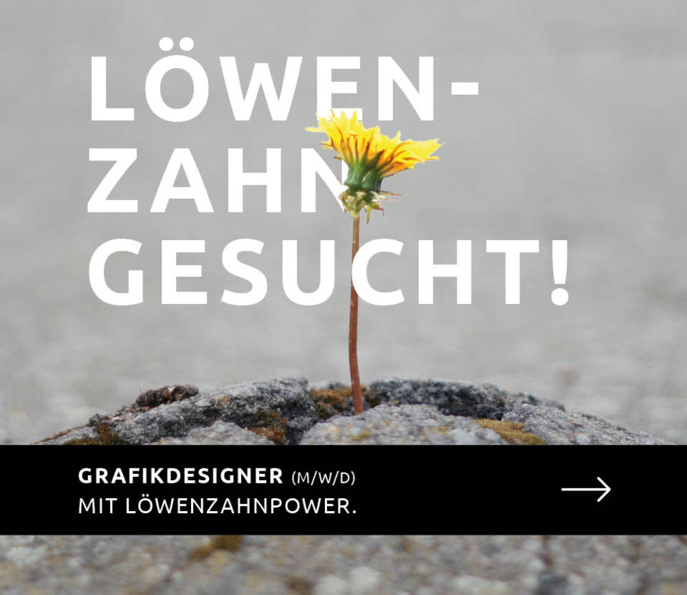 Pop-up-Job-loewenzahn.jpg