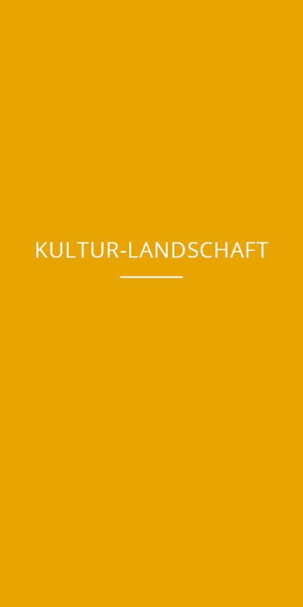 Emsländische Landschaft: Kultur-Landschaft